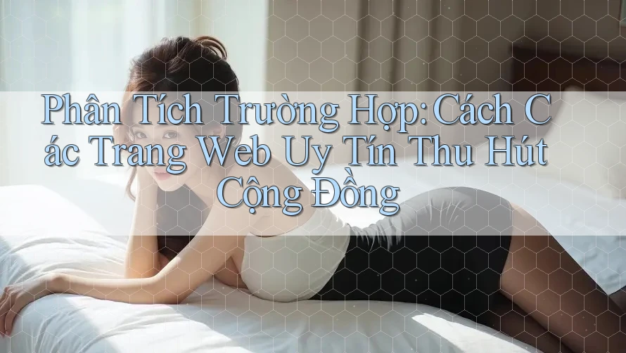 Phân Tích Trường Hợp: Cách Các Trang Web Uy Tín Thu Hút Cộng Đồng